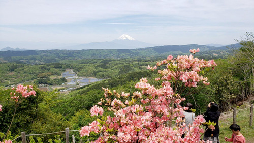 しまりす社員旅行2019GW⑤伊豆スカイライン・箱根ターンパイクを走るッ!! しまりす社員旅行2019GW⑤伊豆スカイライン・箱根ターンパイクを走るッ!!