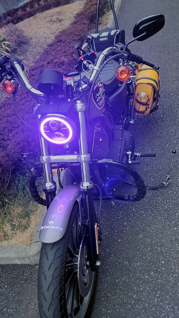 取り敢えずスポーツスターでおでかけしますか。② 取り敢えずスポーツスターでおでかけしますか。②