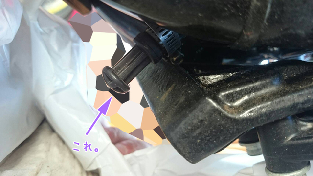 車検前のオイルこうかん♬ 車検前のオイルこうかん♬