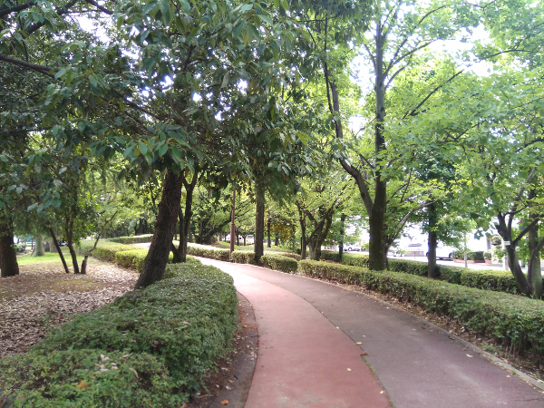 URBAN OUTDOOR? Mt ujina-bashi 登山 URBAN OUTDOOR? Mt ujina-bashi 登山