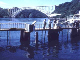 西海橋ビューロッジの水族館