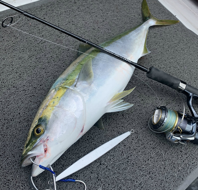 明石ジギング海上勤務! 明石ジギング海上勤務!