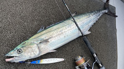 明石ジギング!! 明石ジギング!!