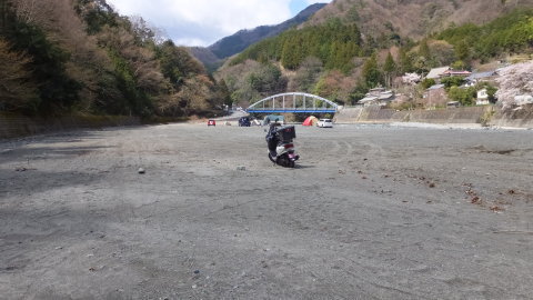 花見キャンプ出来ました。 花見キャンプ出来ました。