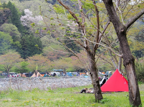 春の新戸キャンプ場4/18(土)~19(日) 春の新戸キャンプ場4/18(土)~19(日)