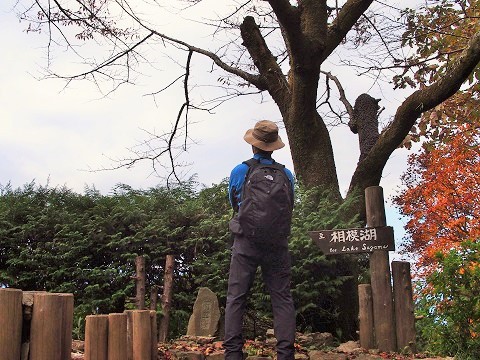 陣馬山に登って、陣馬そば山下屋へ 2017.10.31(火) 陣馬山に登って、陣馬そば山下屋へ 2017.10.31(火)