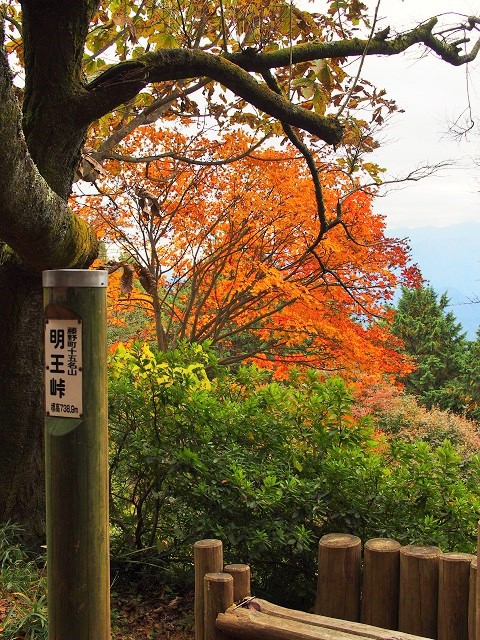 陣馬山に登って、陣馬そば山下屋へ 2017.10.31(火) 陣馬山に登って、陣馬そば山下屋へ 2017.10.31(火)