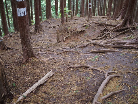 陣馬山に登って、陣馬そば山下屋へ 2017.10.31(火) 陣馬山に登って、陣馬そば山下屋へ 2017.10.31(火)