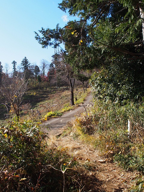 小仏城山から高尾山ハイキング 11/29(水) 小仏城山から高尾山ハイキング 11/29(水)
