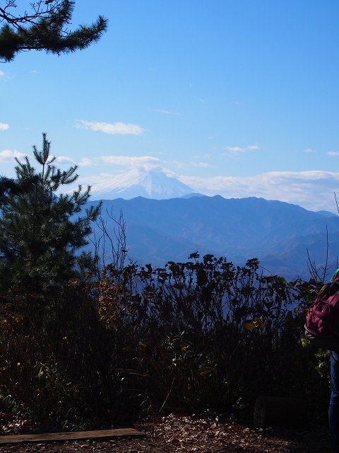 小仏城山から高尾山ハイキング 11/29(水) 小仏城山から高尾山ハイキング 11/29(水)