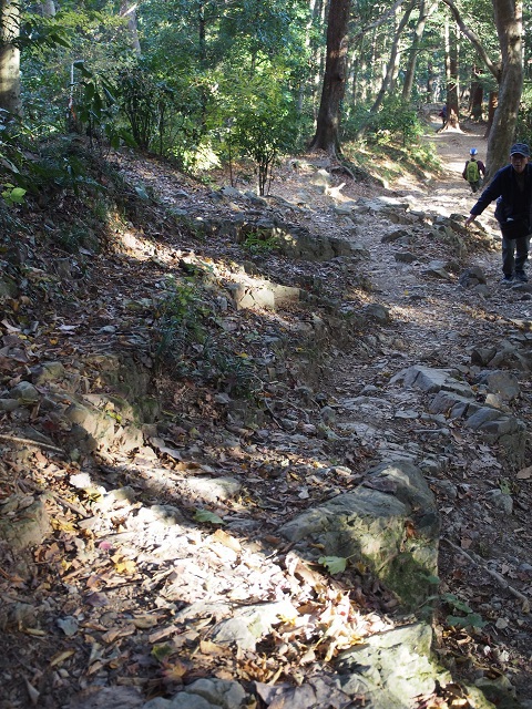 小仏城山から高尾山ハイキング 11/29(水) 小仏城山から高尾山ハイキング 11/29(水)