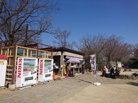 なめこ汁と山菜てんぷらとビール@景信山 3/20(月)祝日 なめこ汁と山菜てんぷらとビール@景信山 3/20(月)祝日