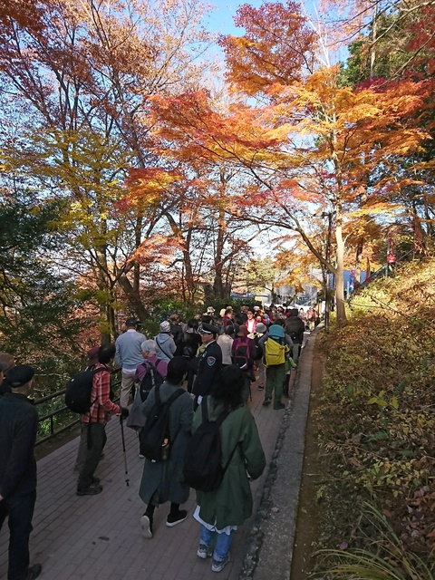 小仏城山から高尾山ハイキング 11/29(水) 小仏城山から高尾山ハイキング 11/29(水)