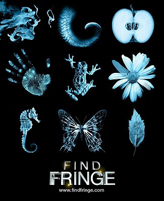 FRINGE