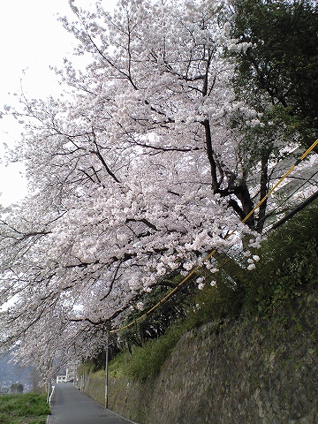 走ってみたとポタリング