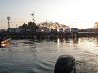 春満開！超行楽的琵琶湖バスボート釣行！