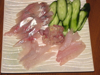 五目さびき釣り