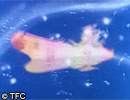 べリーズ迦葉山の試練