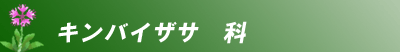 科別 検索