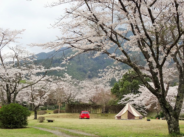 ずっと気になっていたあの場所へ。強行お花見キャンプ。その① 2015/4/2 ずっと気になっていたあの場所へ。強行お花見キャンプ。その① 2015/4/2