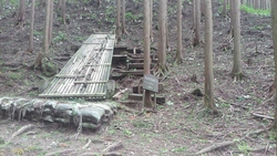 奈良県立野外活動センター　遊びの森①