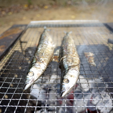 秋味、秋刀魚、炭火焼。秋のキャンプが始まる。