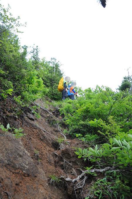 龍山登山 龍山登山