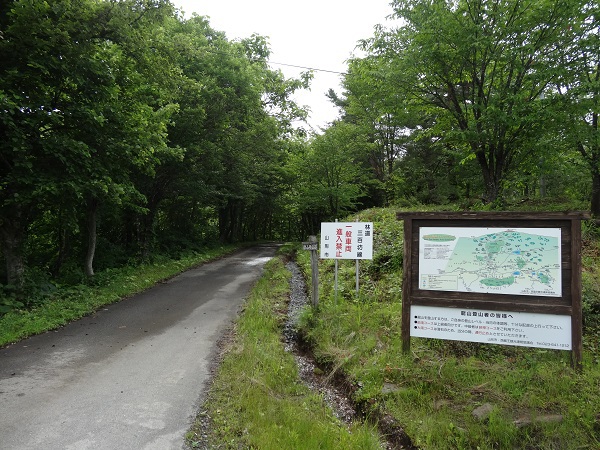 龍山登山 龍山登山
