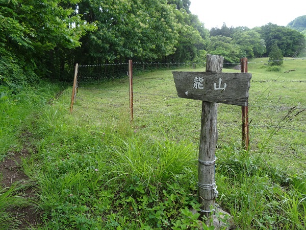 龍山登山 龍山登山