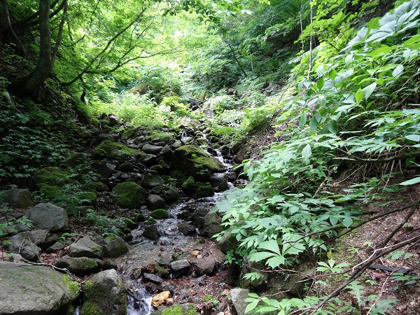 龍山登山 龍山登山