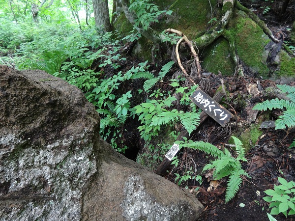 龍山登山 龍山登山