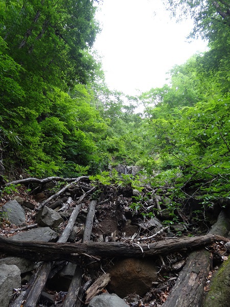 龍山登山 龍山登山