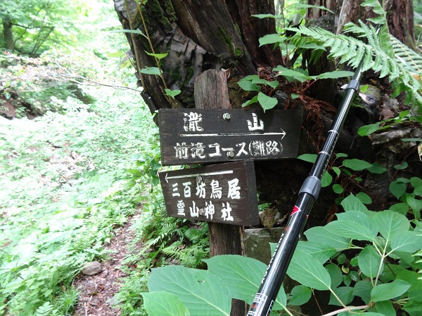 龍山登山 龍山登山