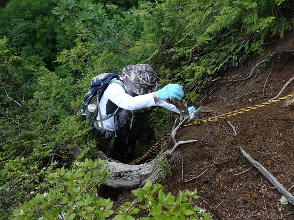 龍山登山 龍山登山