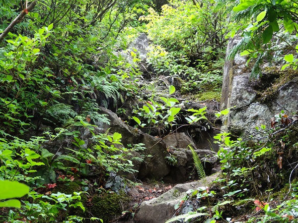 龍山登山 龍山登山