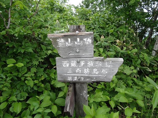 龍山登山 龍山登山