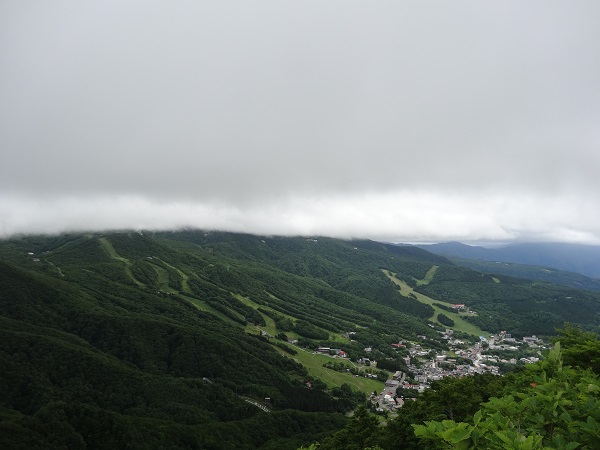 龍山登山 龍山登山