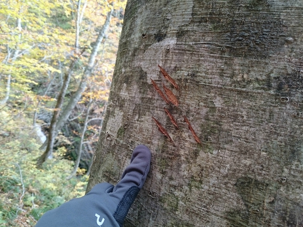 アクロバティックな登山 アクロバティックな登山