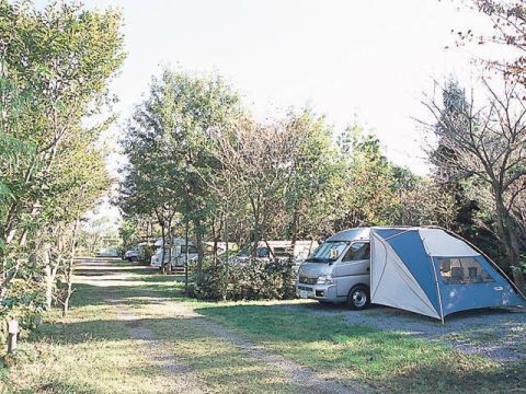 有野実苑オートキャンプ場
