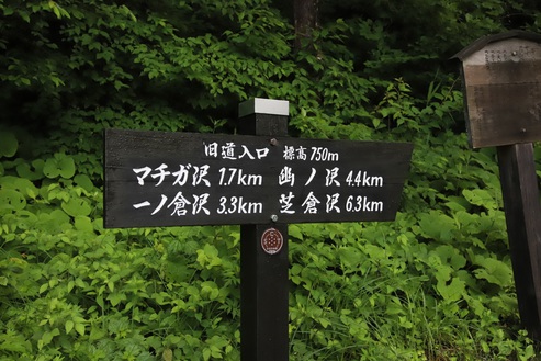絶景の谷川岳　一の倉沢！ペットと一緒にお散歩するにはおすすめです。