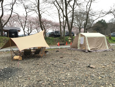 巾着田にてキャンプ！！桜を見ながら・・・