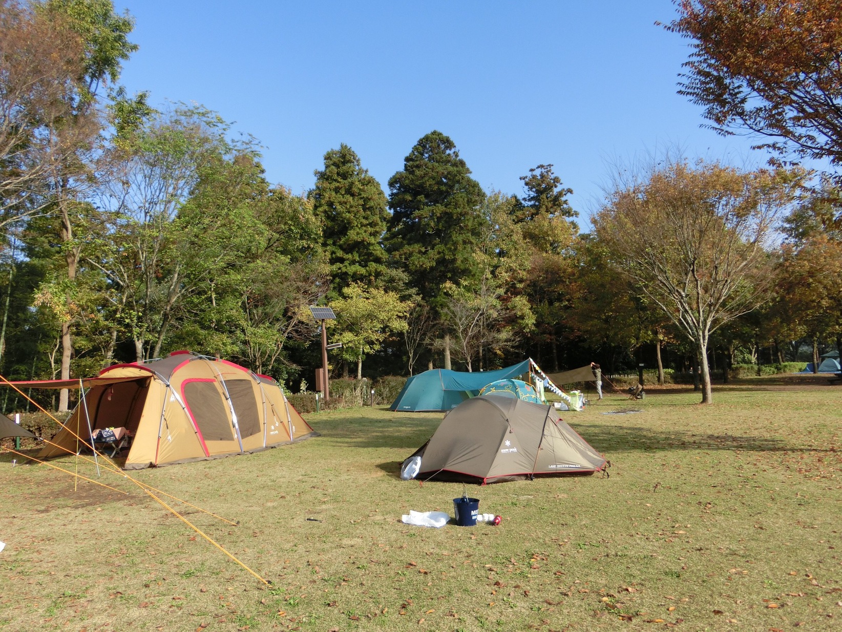 秋の坂田ケ池総合公園キャンプ場は快適でした♪