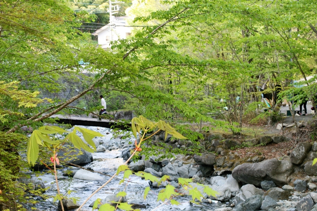 再び橋を渡って 再び橋を渡って