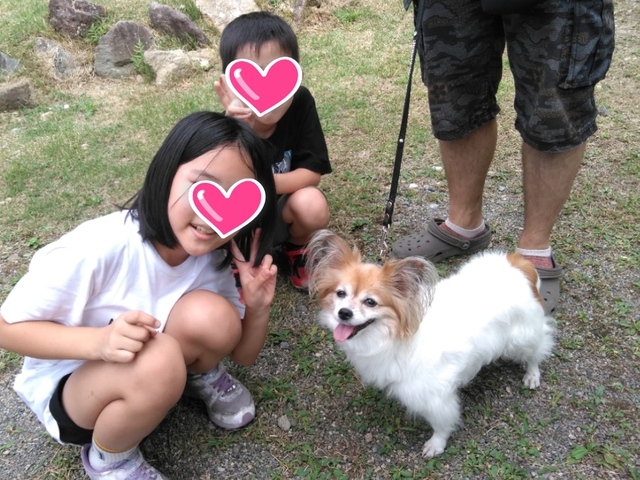 ランタン祭り星一徹現る?!☆オーキャン宝島徒歩キャンプ ランタン祭り星一徹現る?!☆オーキャン宝島徒歩キャンプ