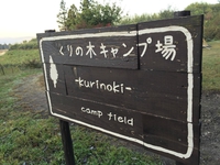 くりの木キャンプ場③