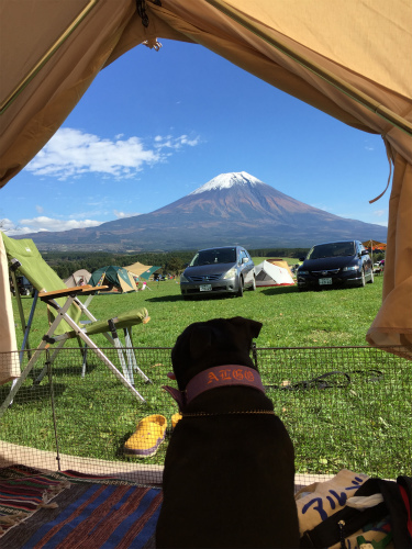 アルゴと富士山