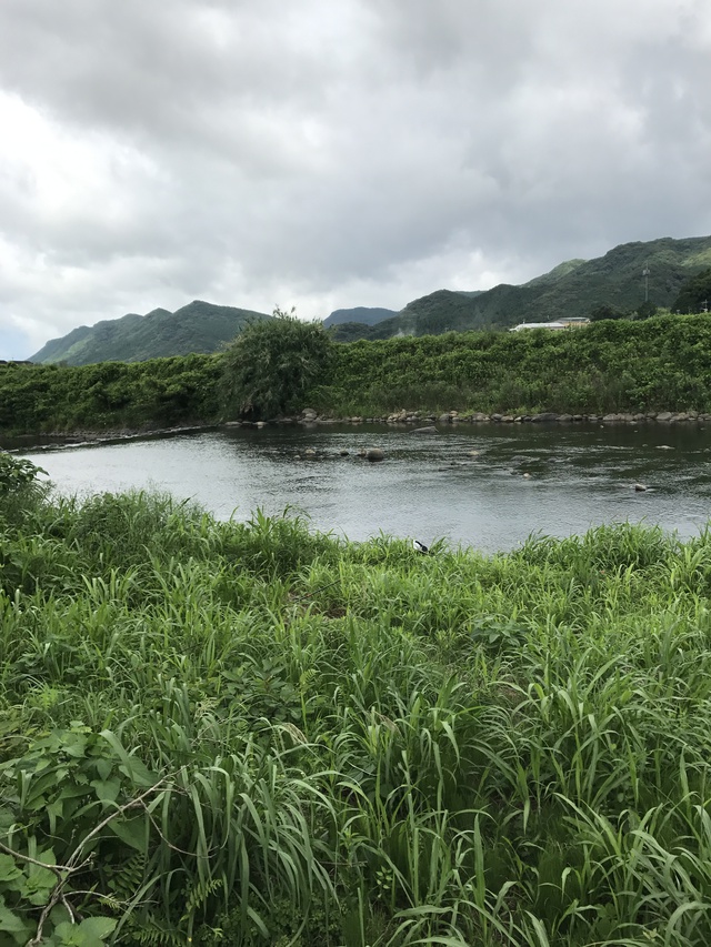 2017/07/17 長崎 佐々川釣行 2017/07/17 長崎 佐々川釣行