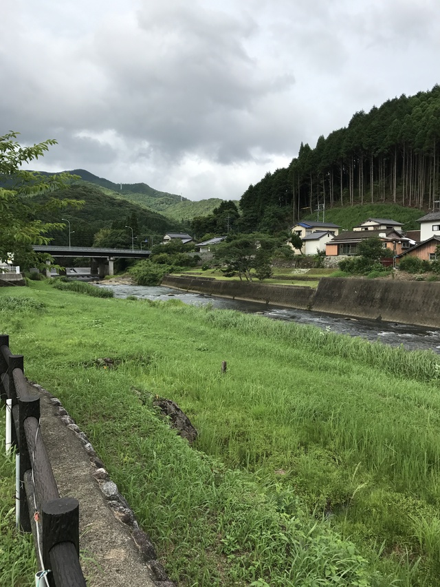 2017/07/10 厳木川に行って来ました。 2017/07/10 厳木川に行って来ました。