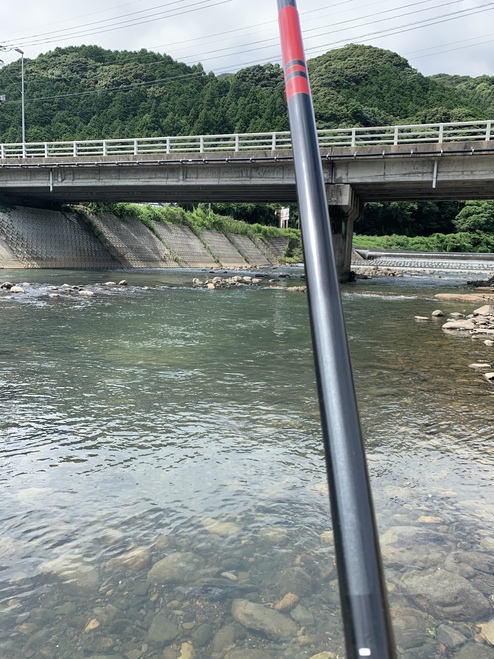 2020/07/04厳木川釣行⤵︎天然鮎の貴重さ。 2020/07/04厳木川釣行⤵︎天然鮎の貴重さ。