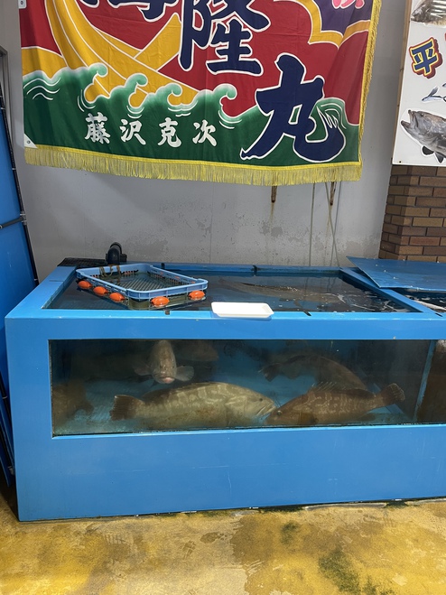 今日は生月にお墓参り 今日は生月にお墓参り
